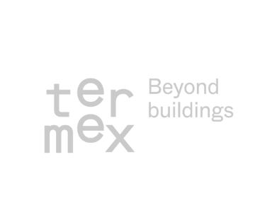 Image for Termex