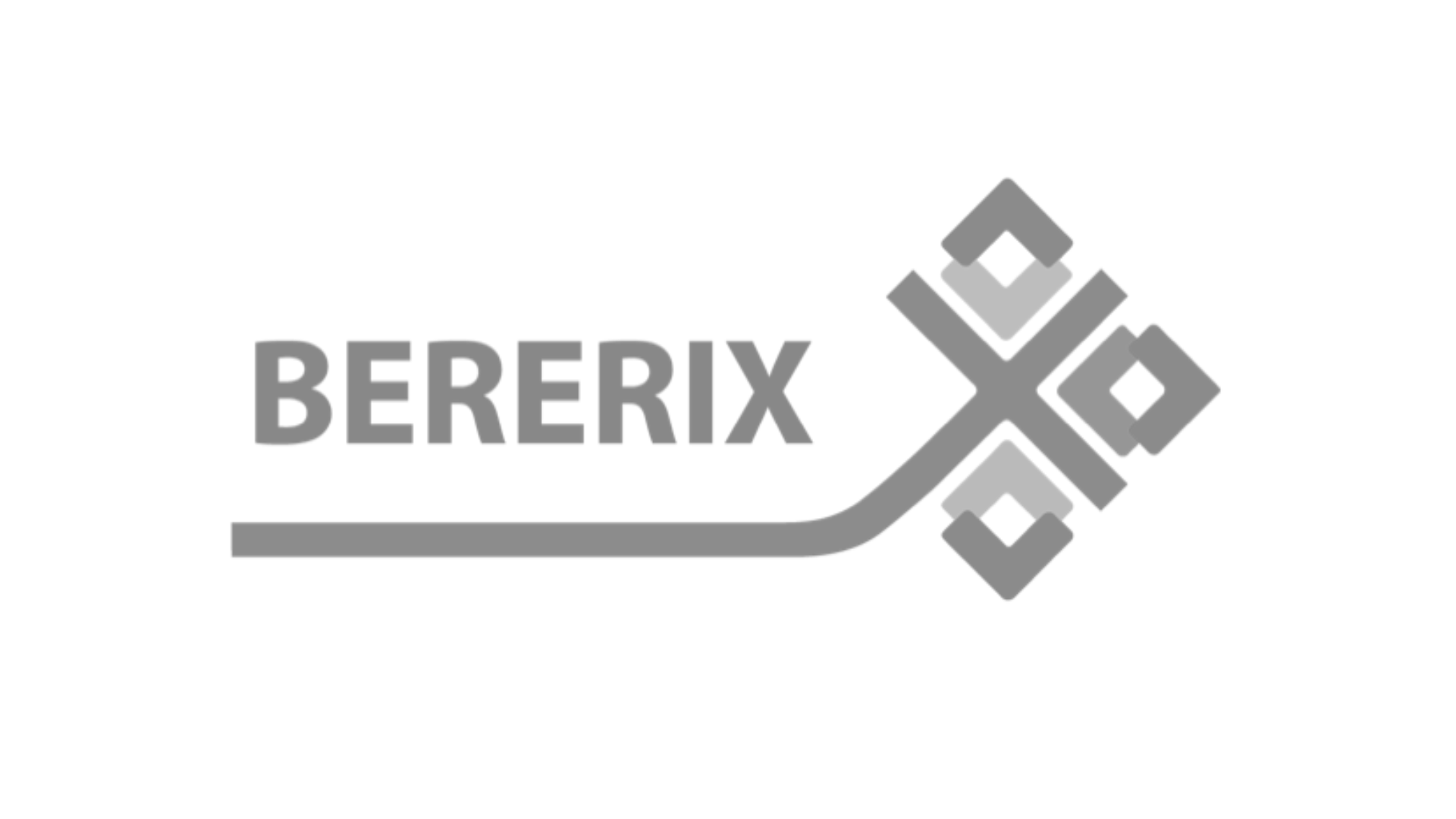 BERERIX, Pilnsabiedrība